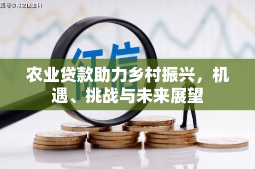 金阳农业贷款助力乡村振兴，机遇、挑战与未来展望