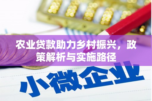 金阳农业贷款助力乡村振兴，政策解析与实施路径
