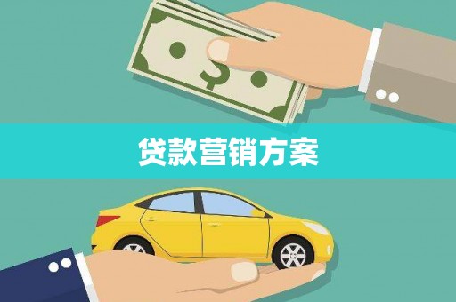 金阳贷款营销方案