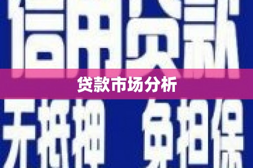 金阳贷款市场分析