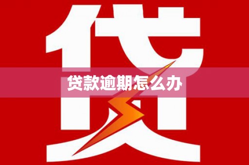 金阳贷款逾期怎么办
