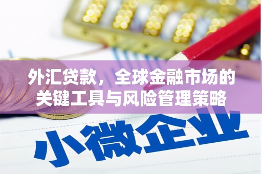 金阳外汇贷款，全球金融市场的关键工具与风险管理策略