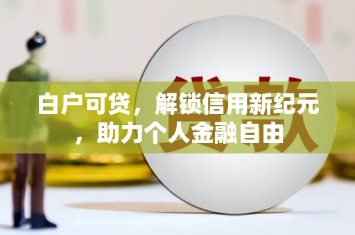 金阳白户可贷，解锁信用新纪元，助力个人金融自由