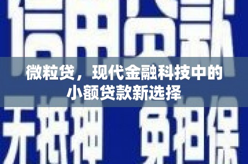 金阳微粒贷，现代金融科技中的小额贷款新选择