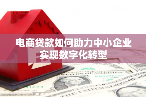 金阳电商贷款如何助力中小企业实现数字化转型