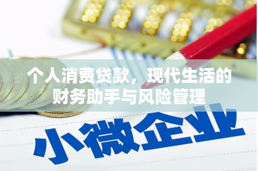 金阳个人消费贷款，现代生活的财务助手与风险管理