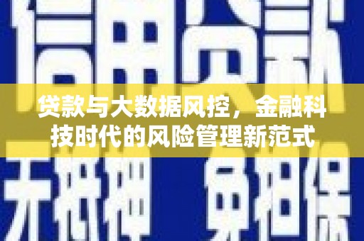 金阳贷款与大数据风控，金融科技时代的风险管理新范式