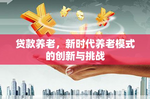金阳贷款养老，新时代养老模式的创新与挑战