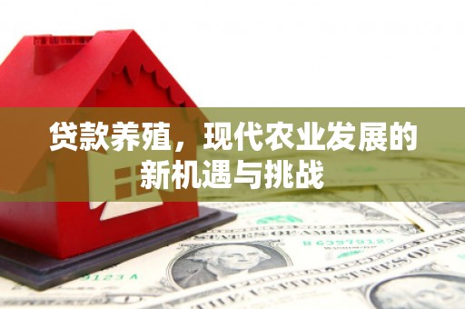 金阳贷款养殖，现代农业发展的新机遇与挑战