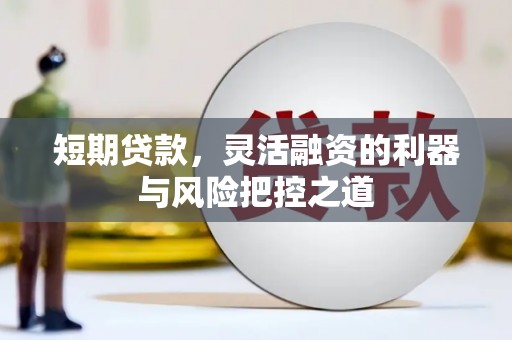 金阳短期贷款，灵活融资的利器与风险把控之道
