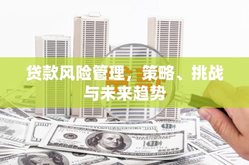 金阳贷款风险管理，策略、挑战与未来趋势