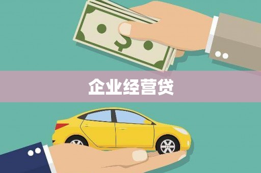 金阳企业经营贷