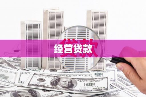 金阳经营贷款
