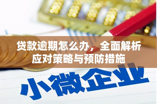 金阳贷款逾期怎么办，全面解析应对策略与预防措施