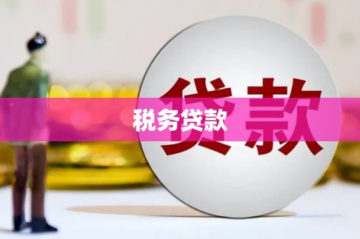 金阳税务贷款