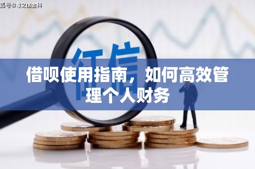 金阳借呗使用指南，如何高效管理个人财务