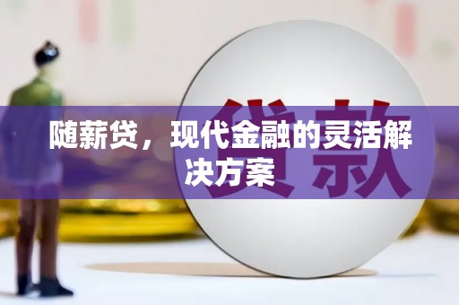 金阳随薪贷，现代金融的灵活解决方案