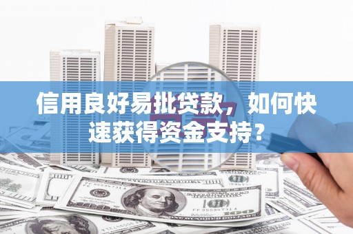 金阳信用良好易批贷款，如何快速获得资金支持？