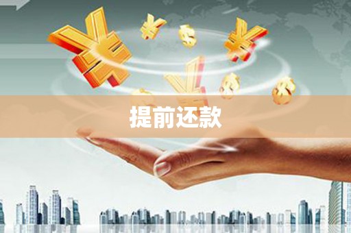 金阳提前还款
