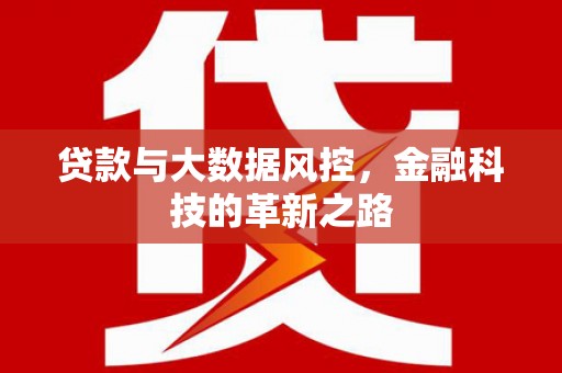 金阳贷款与大数据风控，金融科技的革新之路