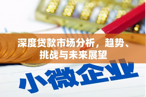 金阳深度贷款市场分析，趋势、挑战与未来展望