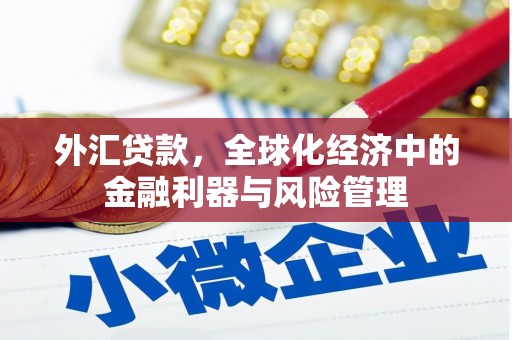 金阳外汇贷款，全球化经济中的金融利器与风险管理