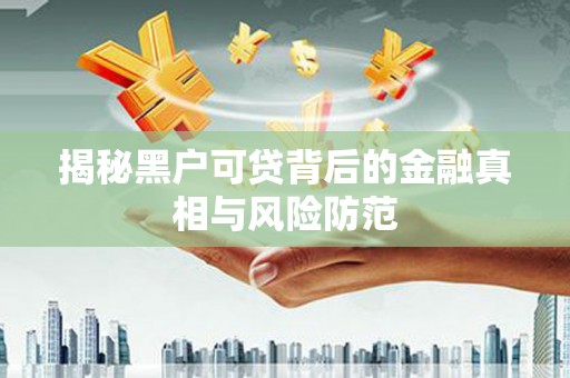 金阳揭秘黑户可贷背后的金融真相与风险防范