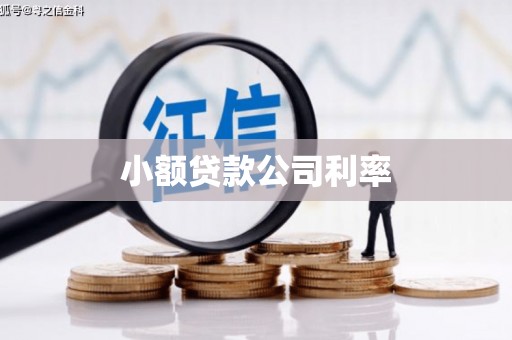 金阳小额贷款公司利率