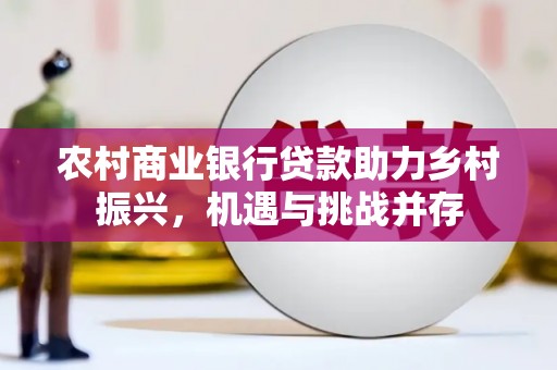 金阳农村商业银行贷款助力乡村振兴，机遇与挑战并存