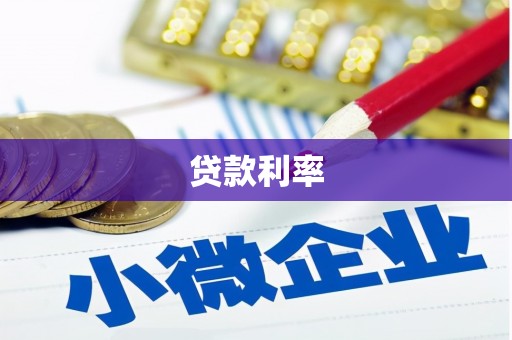金阳贷款利率