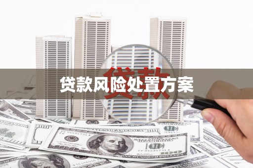 金阳贷款风险处置方案