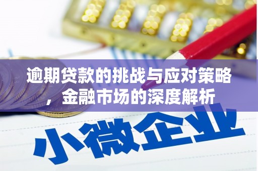 金阳逾期贷款的挑战与应对策略，金融市场的深度解析