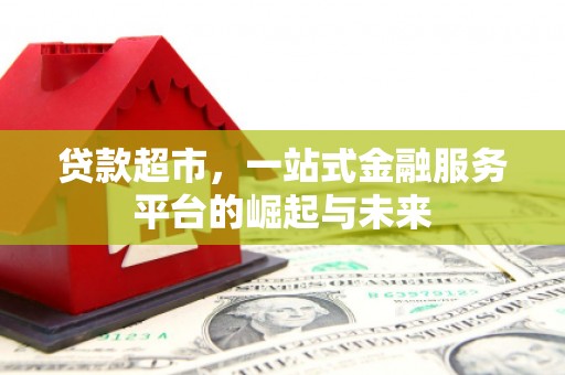 金阳贷款超市，一站式金融服务平台的崛起与未来