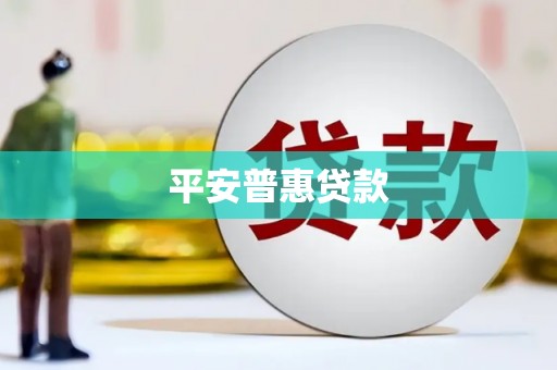 金阳平安普惠贷款