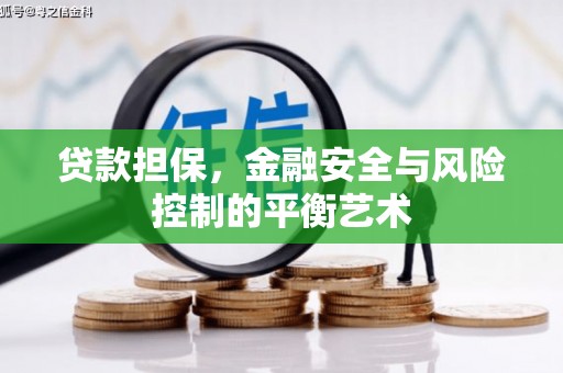 金阳贷款担保，金融安全与风险控制的平衡艺术