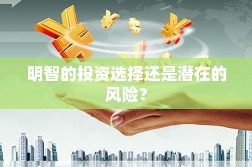 金阳明智的投资选择还是潜在的风险？