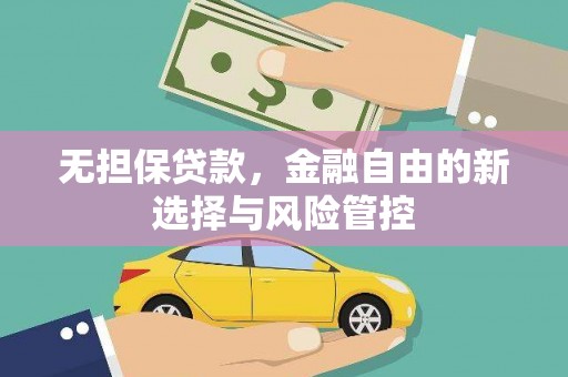 金阳无担保贷款，金融自由的新选择与风险管控