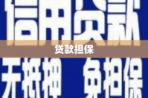 金阳贷款担保