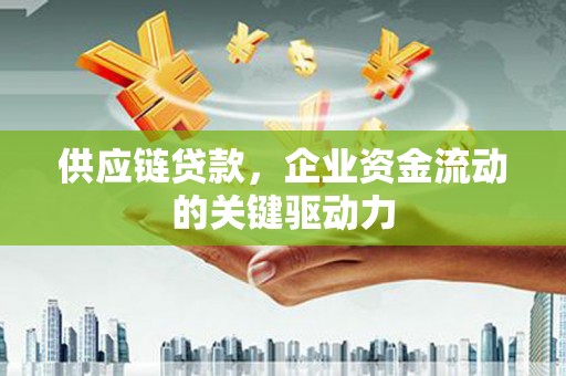 金阳供应链贷款，企业资金流动的关键驱动力