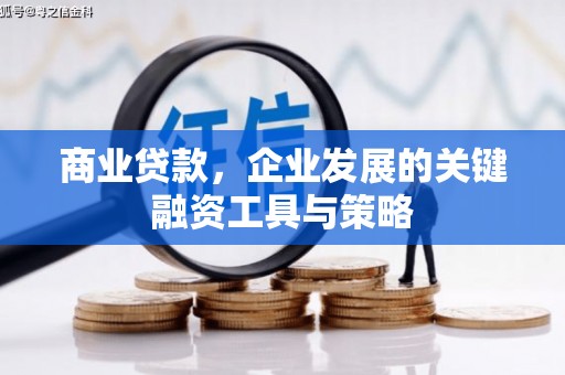 金阳商业贷款，企业发展的关键融资工具与策略