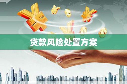 金阳贷款风险处置方案