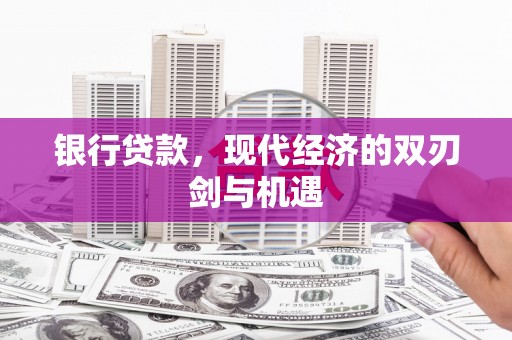 金阳银行贷款，现代经济的双刃剑与机遇