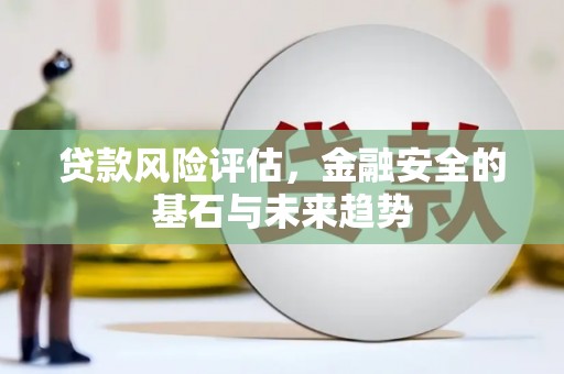 金阳贷款风险评估，金融安全的基石与未来趋势