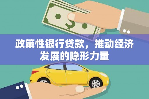 金阳政策性银行贷款，推动经济发展的隐形力量