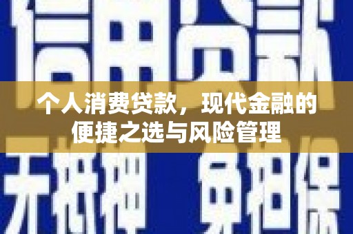 金阳个人消费贷款，现代金融的便捷之选与风险管理