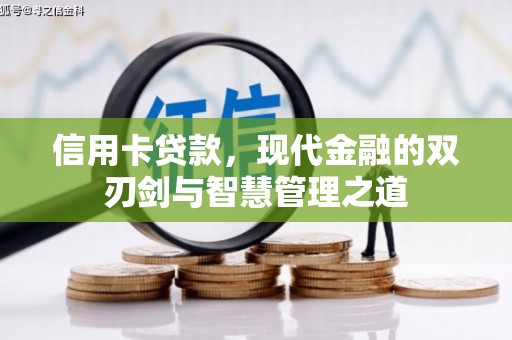 金阳信用卡贷款，现代金融的双刃剑与智慧管理之道
