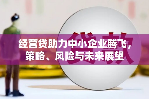 金阳经营贷助力中小企业腾飞，策略、风险与未来展望