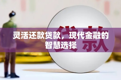 金阳灵活还款贷款，现代金融的智慧选择