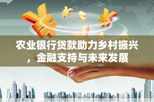 金阳农业银行贷款助力乡村振兴，金融支持与未来发展