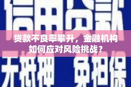 金阳贷款不良率攀升，金融机构如何应对风险挑战？